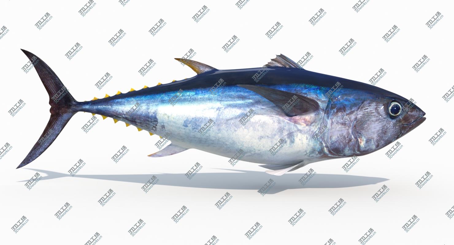 images/goods_img/20210319/Tuna Fish (Animated) 3D/1.jpg